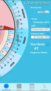 Pregnancy Gestogram screenshot 1