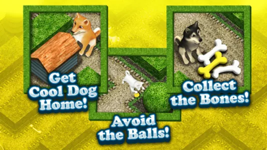 Cool Dog 3D My Cute Puppy Maze Game for Kids Free screenshot 3