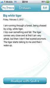 DREAM-e screenshot 1