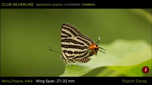 Butterfly eGuide screenshot 2