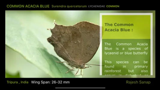 Butterfly eGuide screenshot 3