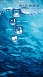 Blue Aqua screenshot 0