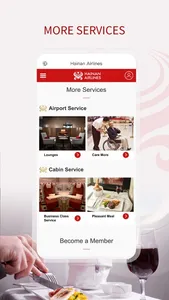 Hainan Airlines screenshot 5