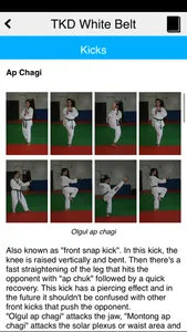 The Taekwondo White Belt screenshot 2