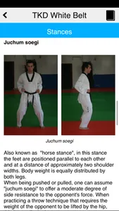 The Taekwondo White Belt screenshot 3