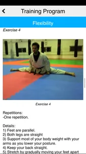 The Taekwondo White Belt screenshot 7