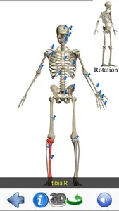 Visual Anatomy Lite screenshot 5