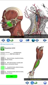 Visual Anatomy Lite screenshot 6