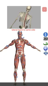 Visual Anatomy Lite screenshot 8