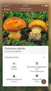 Mushrooms PRO - Hunting Safe screenshot 3