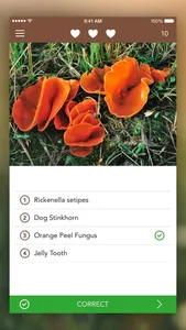 Mushrooms PRO - Hunting Safe screenshot 4