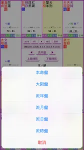 紫微四化飛星 screenshot 4