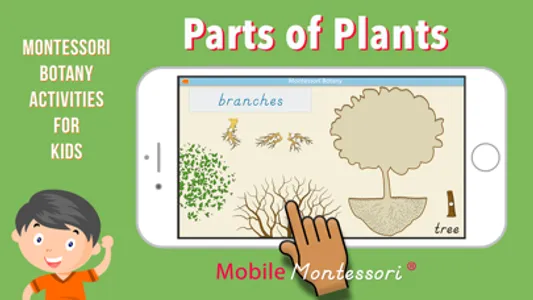 Learn Botany - Parts of Plants screenshot 0