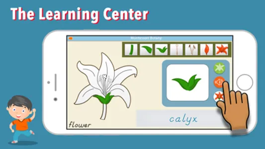 Learn Botany - Parts of Plants screenshot 1