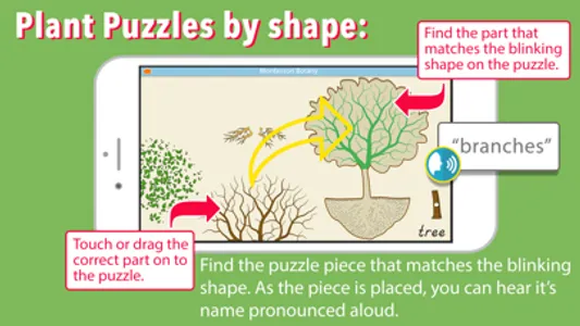 Learn Botany - Parts of Plants screenshot 2