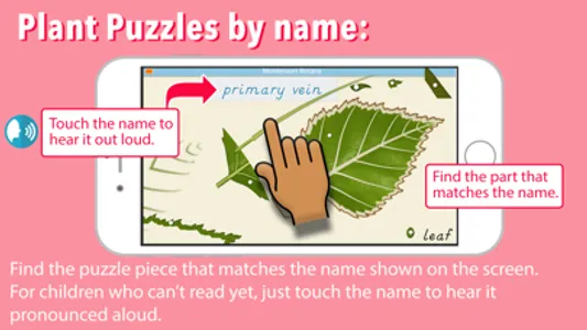 Learn Botany - Parts of Plants screenshot 3