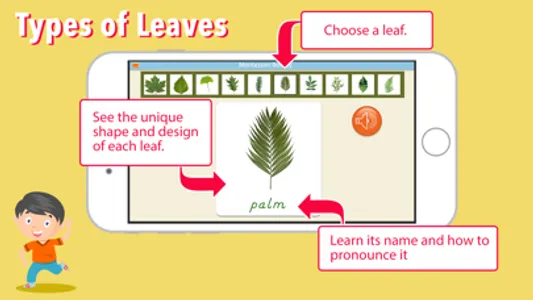 Learn Botany - Parts of Plants screenshot 4