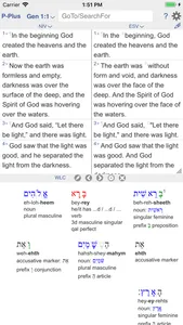 PARALLEL PLUS Bible-study app screenshot 5