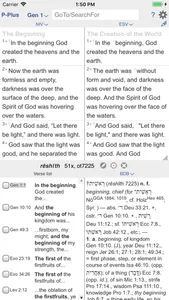 PARALLEL PLUS Bible-study app screenshot 7