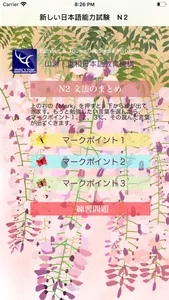 JLPT N2 文法 screenshot 0