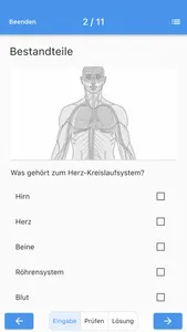 Körperlehre screenshot 2