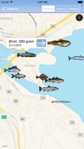 Fluefiske screenshot 3