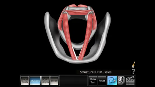 Vocal Folds ID screenshot 1