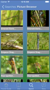 Pocket Guide UK Dragonflies screenshot 0