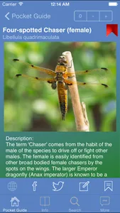 Pocket Guide UK Dragonflies screenshot 1