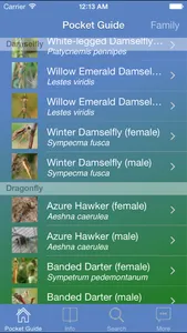 Pocket Guide UK Dragonflies screenshot 2