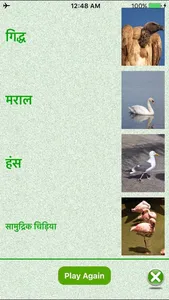 Flashcards Hindi Lesson screenshot 0