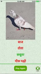 Flashcards Hindi Lesson screenshot 4