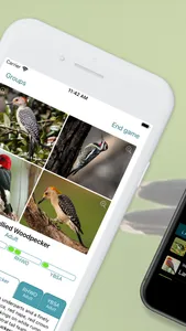 Learn Bird Watching—Larkwire screenshot 1