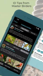 Learn Bird Watching—Larkwire screenshot 4