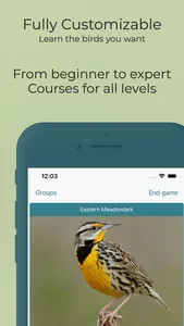 Learn Bird Watching—Larkwire screenshot 7