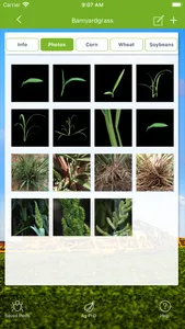 Ag PhD Field Guide screenshot 3