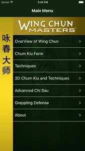 Wing Chun Masters 2 - HD screenshot 0