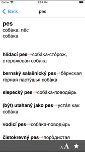 Czech-Russian dictionary screenshot 1