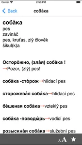 Czech-Russian dictionary screenshot 3