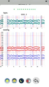 BP Grapher - record and chart screenshot 4