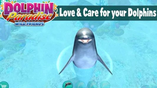 Dolphin Paradise: Wild Friends screenshot 2