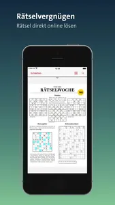 LKZ e-paper screenshot 5