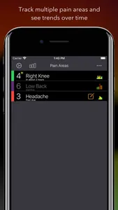 Pain Logger screenshot 0