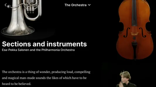 The Orchestra screenshot 6