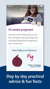 Bounty Pregnancy and Baby App screenshot 2