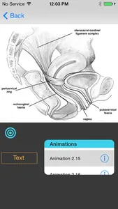 Pelvic Floor 3D screenshot 1