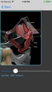 Pelvic Floor 3D screenshot 2