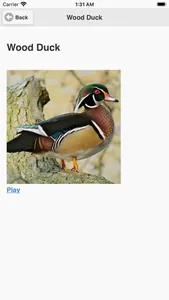 Kootenay BIrd Sounds screenshot 3