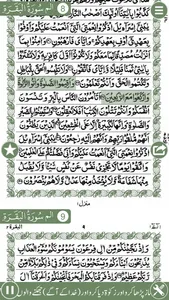 Holy Quran Pak Explorer 15 Lines With Urdu Audio screenshot 0