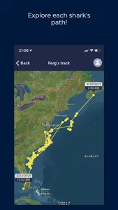 OCEARCH Shark Tracker screenshot 1